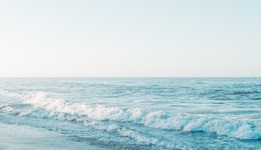 図書館がカフェ＆出会い場に！KYOTO & BOOKSで過ごす新しい京都時間