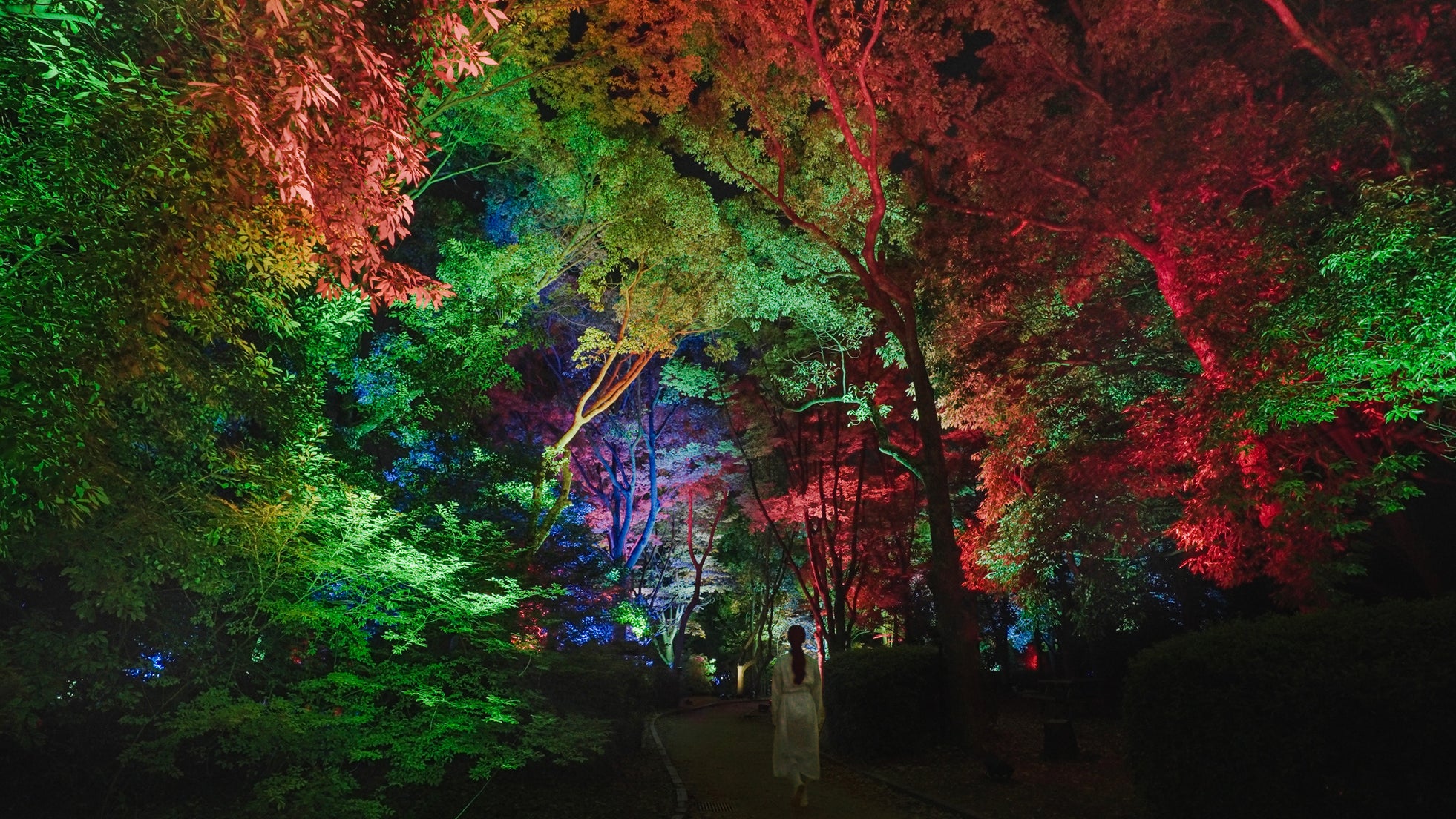 チームラボ 養老渓谷 参考イメージ